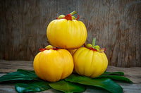 Garcinia Cambogia